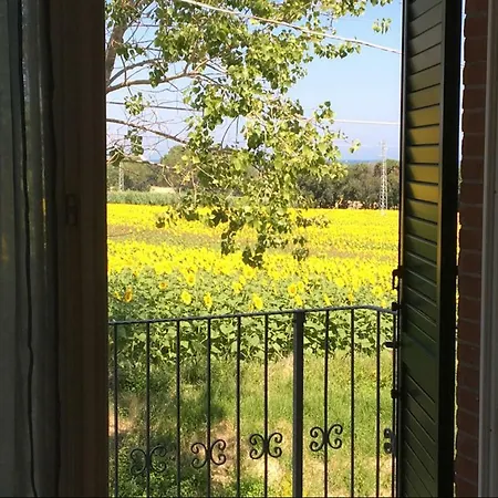 Immersa Tra Le Colline, Appartamento, Vicinissima Al Mare E Con Nuova Piscina Appartement